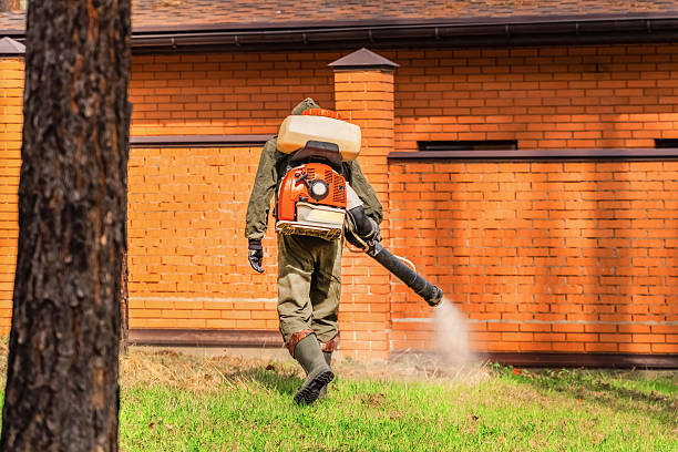 Bed Bug Clearance Verification and Documentation in Alto